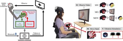 Vibrotactile enhancement in hand rehabilitation has a reinforcing effect on sensorimotor brain activities